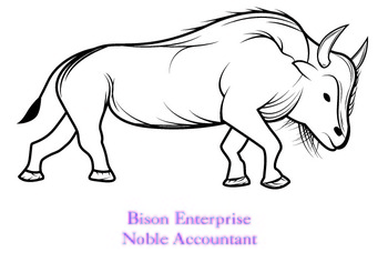 Bison Enterprise