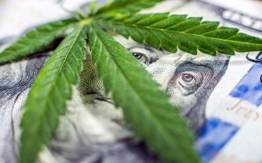 Why You Should Watch Marijuana Stocks?