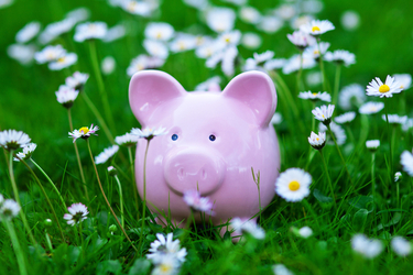 Learning Exciting Ways To Spring Clean Your Finances