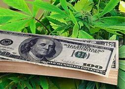 Medical Marijuana Taxes