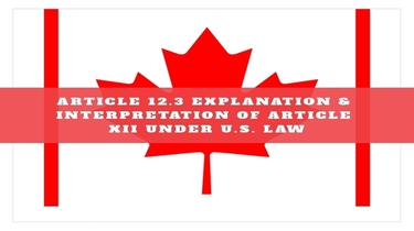 Article 12.3.2 U.S. Interpretation of the Treaty