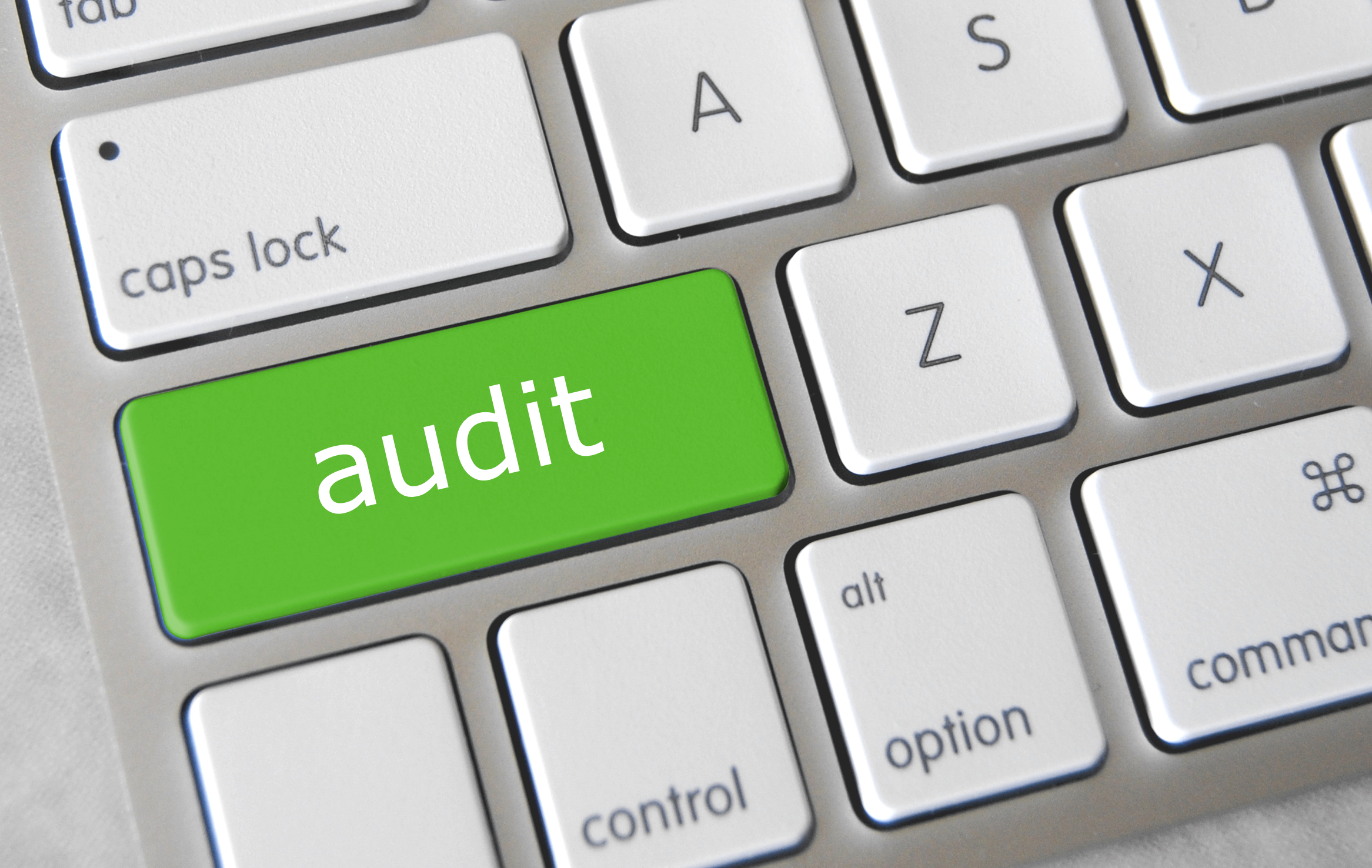 What to do When an Audit Occurs?