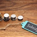 An Overview of Subsidies & How They Are Taxed